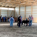 Horse Education